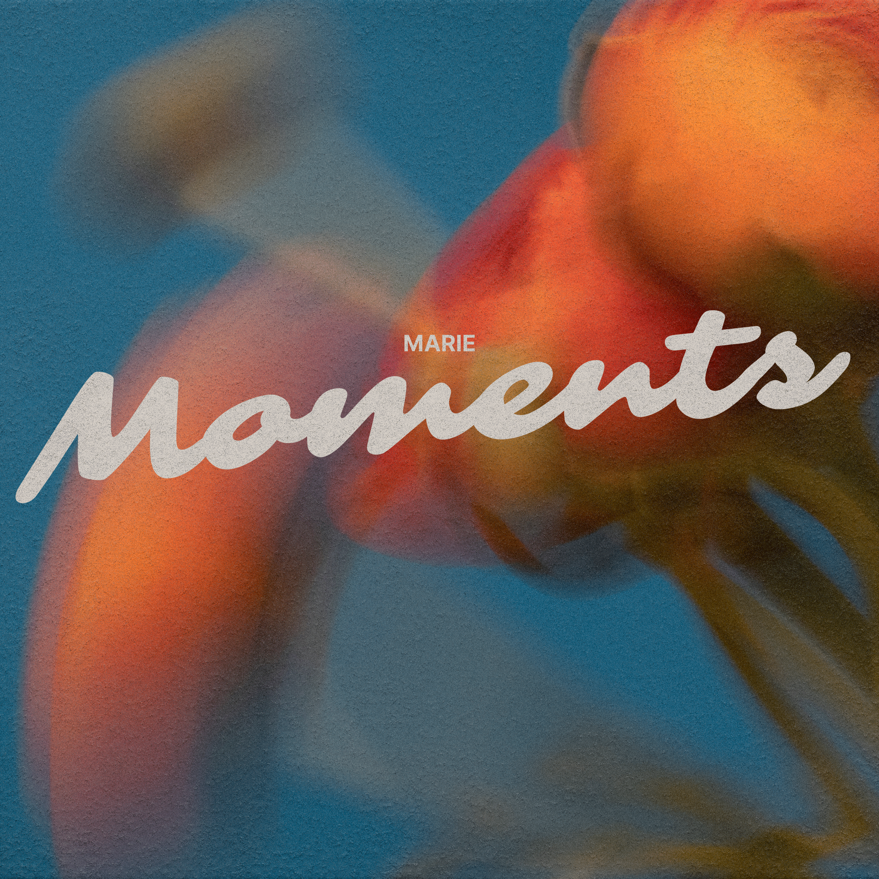 marie – moments